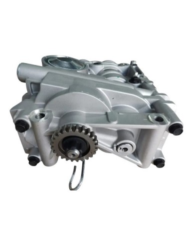 Bomba Aceite Balanceador Kia Optima, Sorento,...