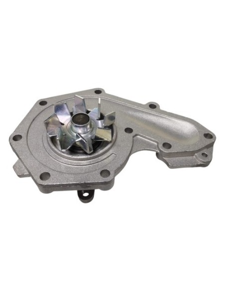 Bomba de agua Renault Kangoo Megane 01 - 10 70821167NA