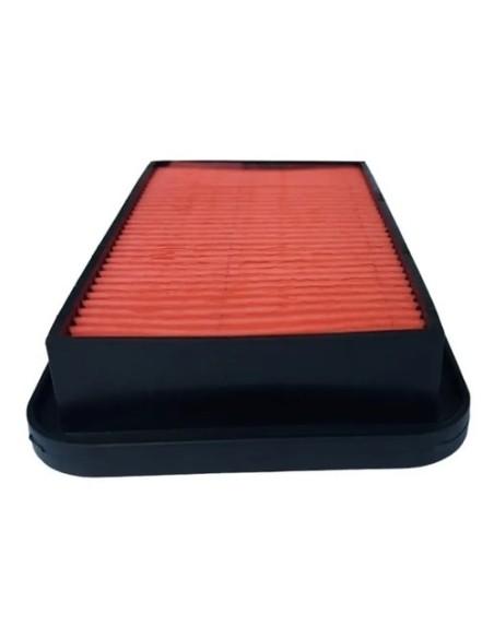 Filtro De Aire Motocicleta Honda Cargo 150 Cb1