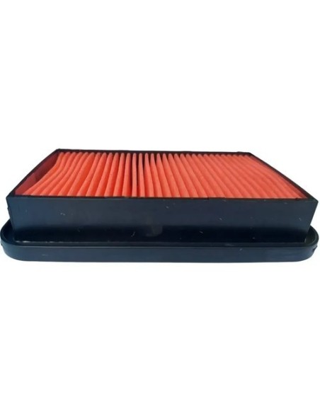 Filtro De Aire Motocicleta Honda Cargo 150 Cb1