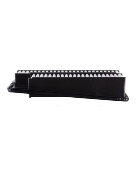 Filtro De Aire Para Acura Cl Y Honda Accord 6cil 1995-1999