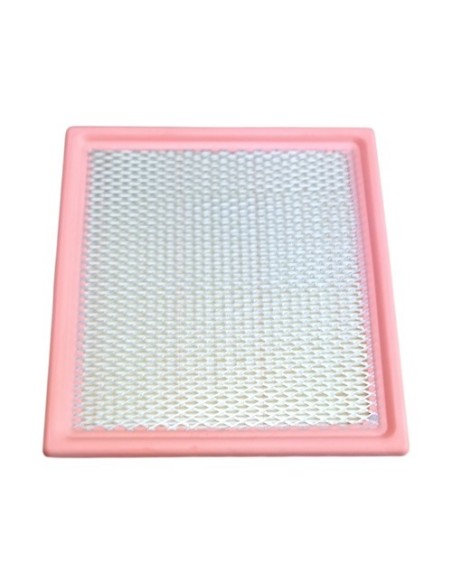 Filtro Aire Dodge Journey 2.4L 2009-2019