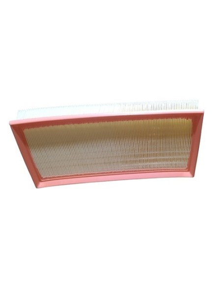 Filtro Aire Peugeot 406 3.0 2001-2002