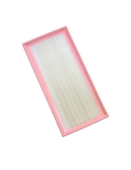 Filtro Aire Peugeot 406 3.0 2001-2002